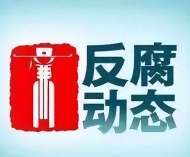 杨慧、周兴挺、高志刚、尹庆范、刘现义、欧阳晴，被查 ...