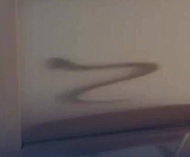 高铁行李架掉下一条蛇？铁路部门回应