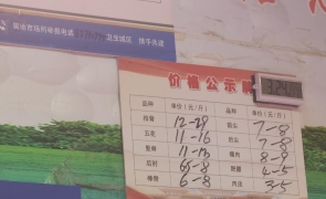 猪肉价格走低 如何促进供需平衡