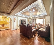 罗马庄园 楼王位置