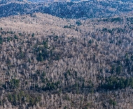 佳木斯，中国最顶江城！（下）