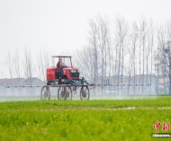 “中原粮仓”农田的“科技范儿”